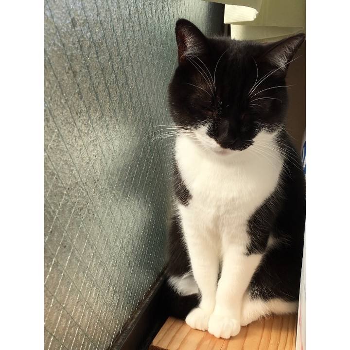 A821409b a389 4aa0 8819 e675416037e1 1513666433731