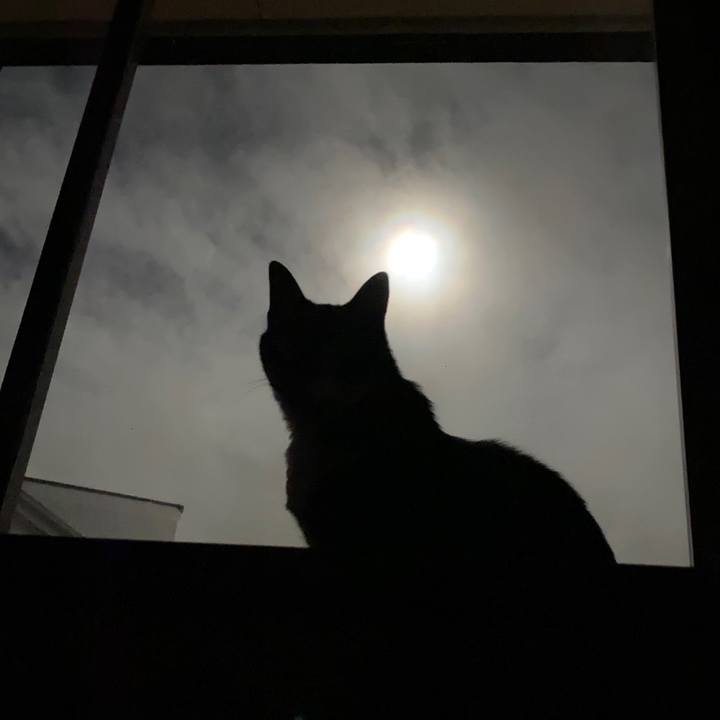 A821413a 08a4 482d 9659 81025d5e1fea 1599054250272