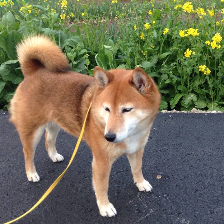 A8215b90 83dd 4346 8cb2 df8364f40f3c 1552985985378