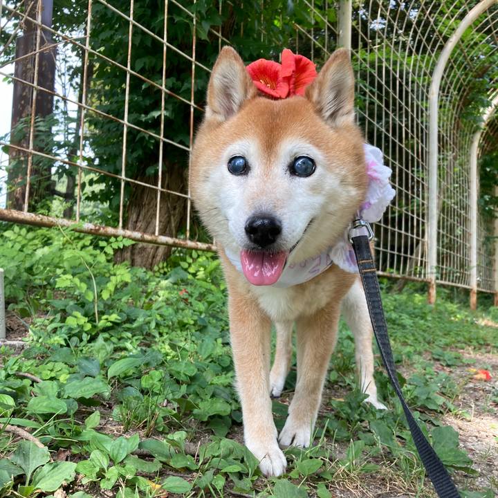 A8216a36 a70a 4710 abda 663960b197d4 1752121832322