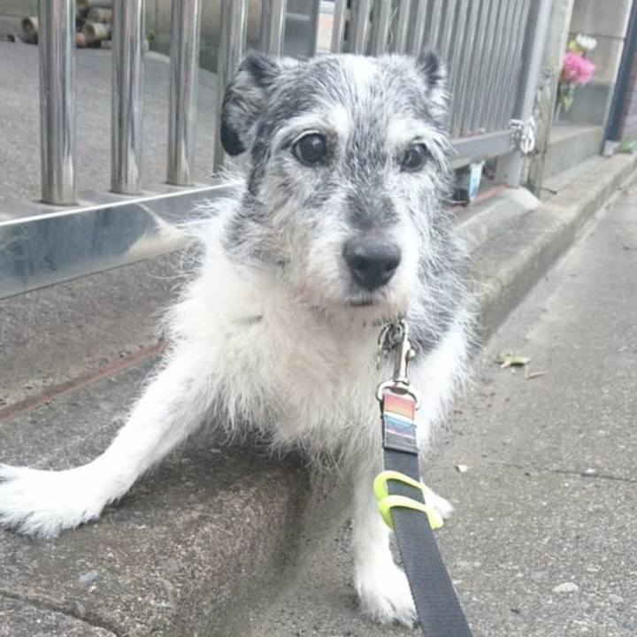 A8216cb4 0fb9 4c0e 98be 65af121bdd66 1722771241062