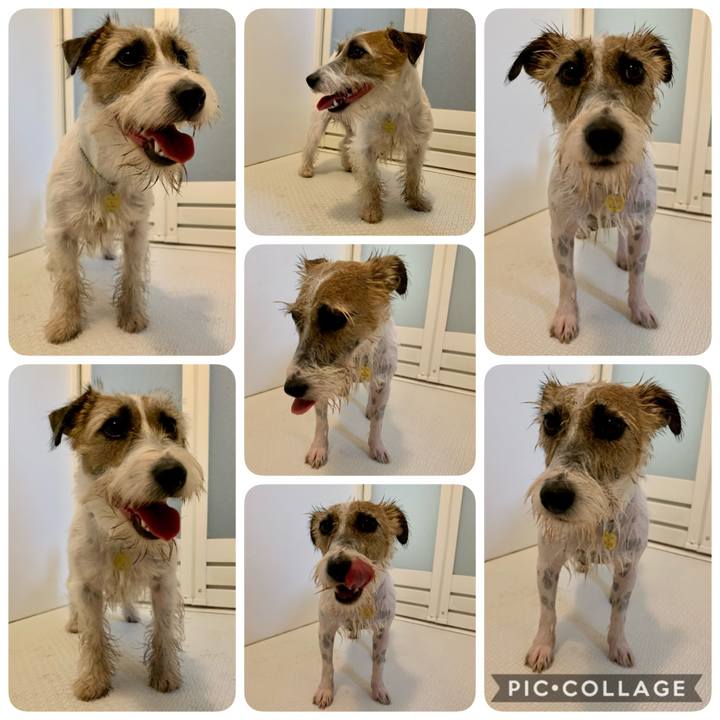 A821845d f6d0 4aa4 a552 3cdb7a2fb228 1606021318399