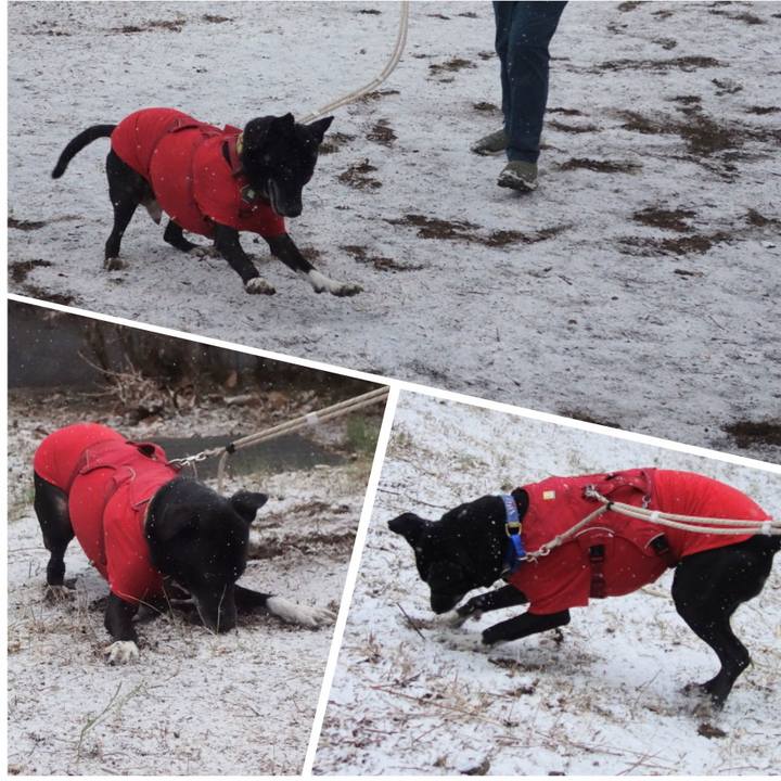 A821a91a 402b 4c14 9d59 a89087670857 1675988772924