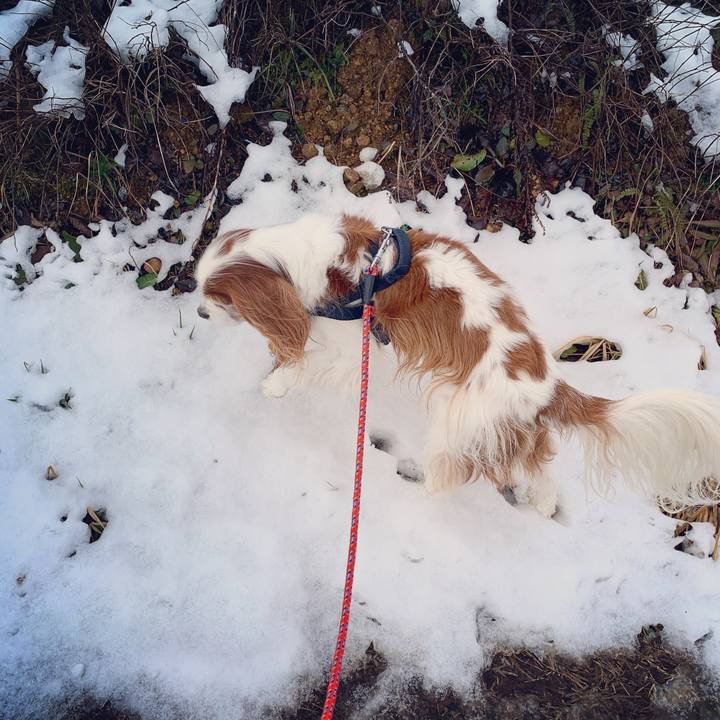 A821b22b 49c8 4967 8134 c2cd528fe80d 1580632262668