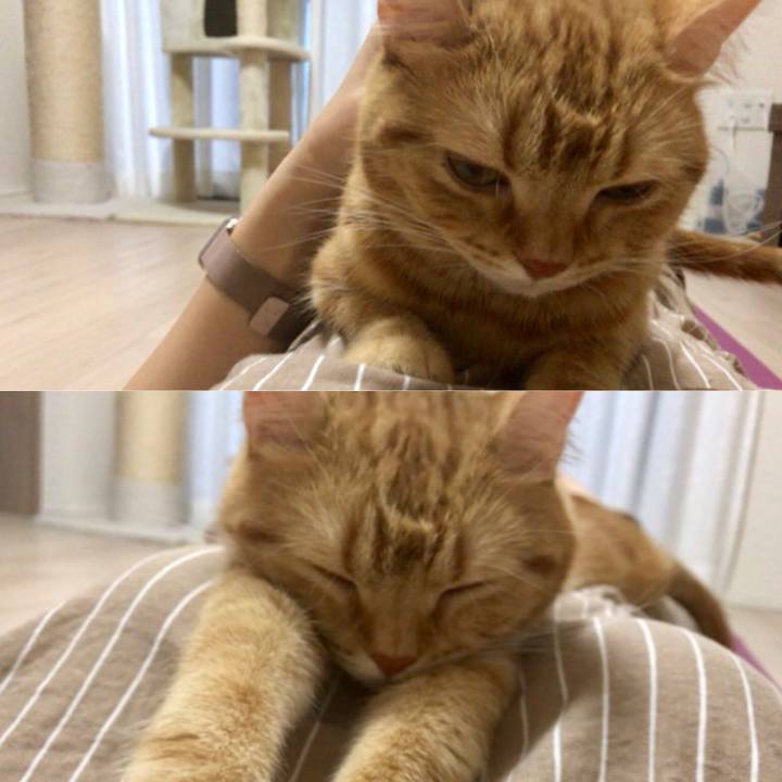 A821b69b 4a6d 4241 a550 d0c219346dc7 1530530672610