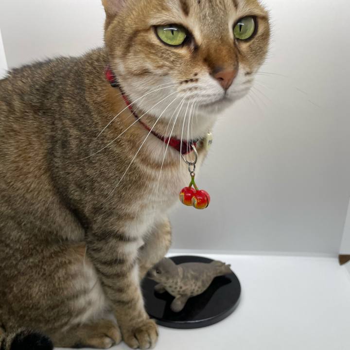 A821c4e7 56e7 400a ab85 8f7cca5a16c2 1673831572314