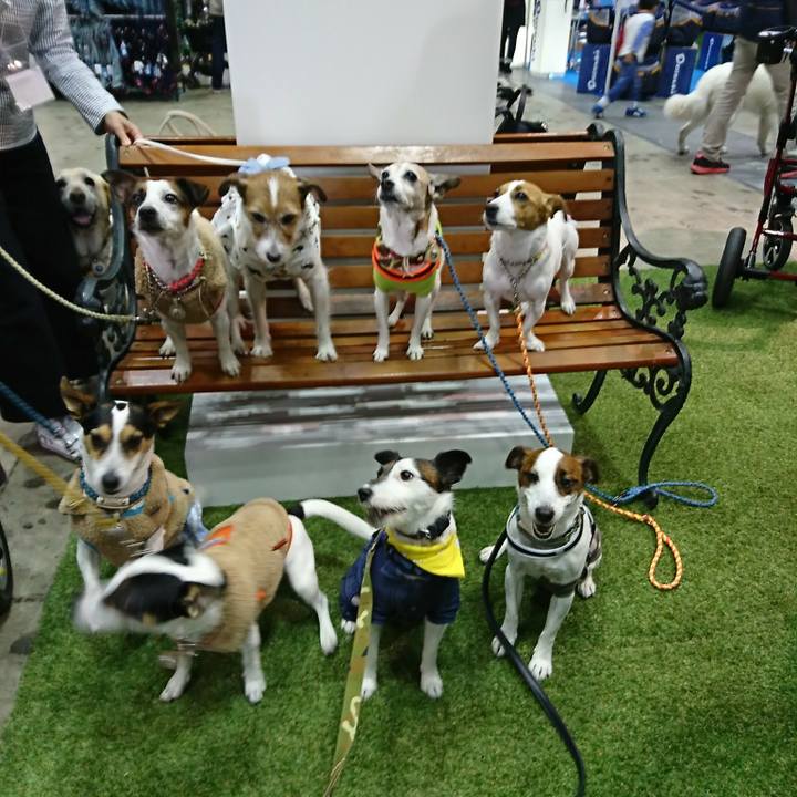 A8225097 7b22 4f68 ba8d 4476a0585620 1522460333022