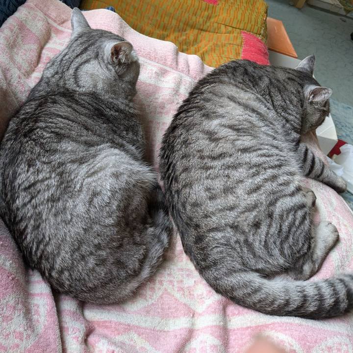 A8225860 92b3 4950 b3fd ac51c56ea20d 1725093785890