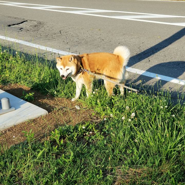 A8225f0c 6c1b 4e38 b9a8 3ad568d83997 1623228047513