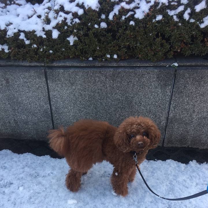 A822628c e030 477c 88a1 eac163b1b618 1517285265075