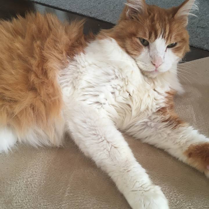 A8226f9e 24ed 4dfe a0df e2f7c6ecaa49 1571014394296