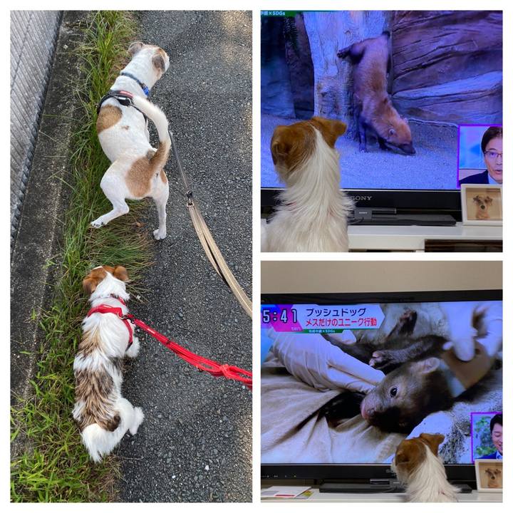 A822a1c1 82b1 4bb4 bd66 1c9ef1ad2b8f 1632527057629