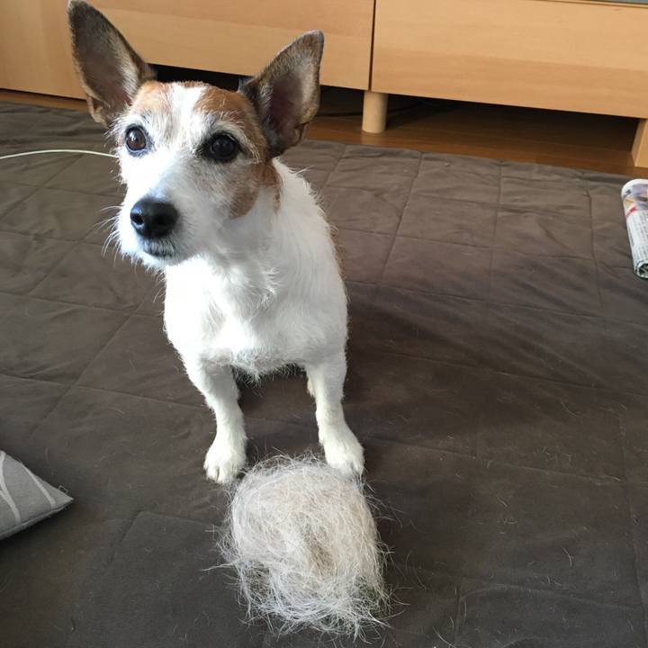 A822e59d cd15 46e7 af83 c5606d69dc37 1639437823888