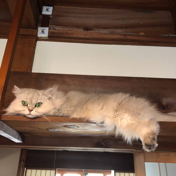 A822f765 9367 4d40 acb6 151f2163814d 1585297913477