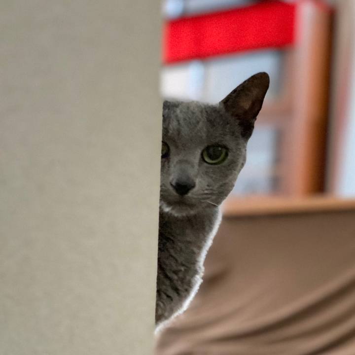 A82359f3 2450 4856 8cd4 5ae8c0f28d22 1582329434700