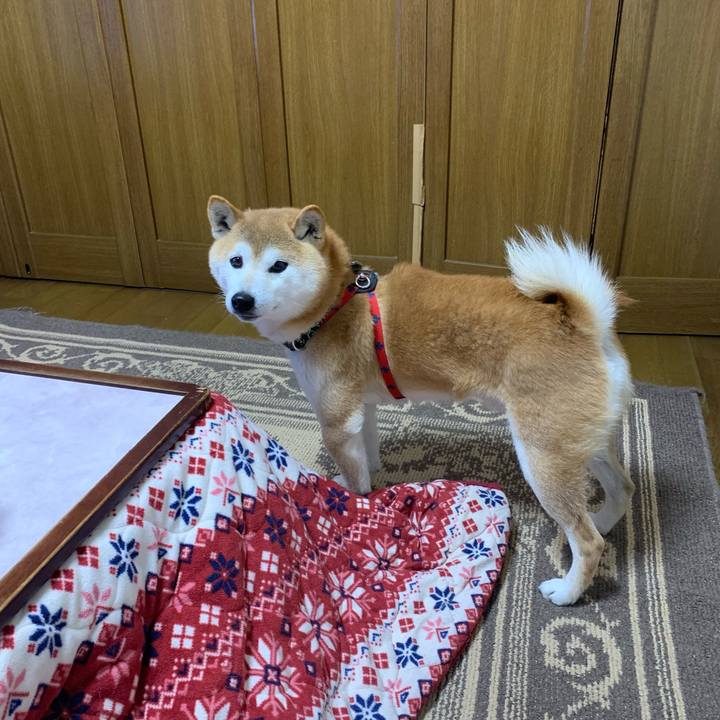 A8235b63 c517 4b74 9bbb 4e5a9215a33c 1645879147767