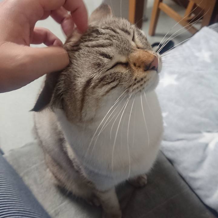 A8235c48 26e3 478e 8ef5 f398377145f6 1544179701102