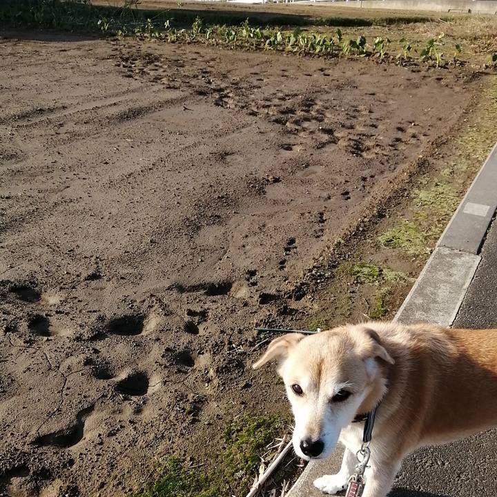 A8237e44 bbdd 4141 a40d 4c4715dc638c 1572598210678