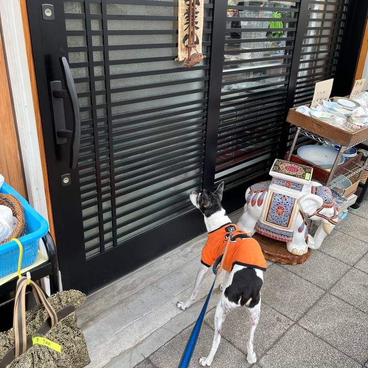 A8238dc0 36a0 4e59 b975 63e4745a1fb4 1635676002750