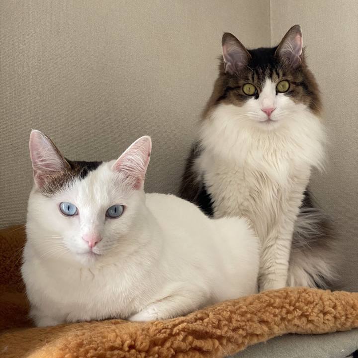 A82412d4 a977 471e 8995 1ffc6b062be8 1736386482511