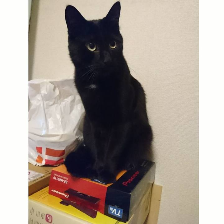 A8242410 24af 42f1 a168 722822718db7 1525906230775