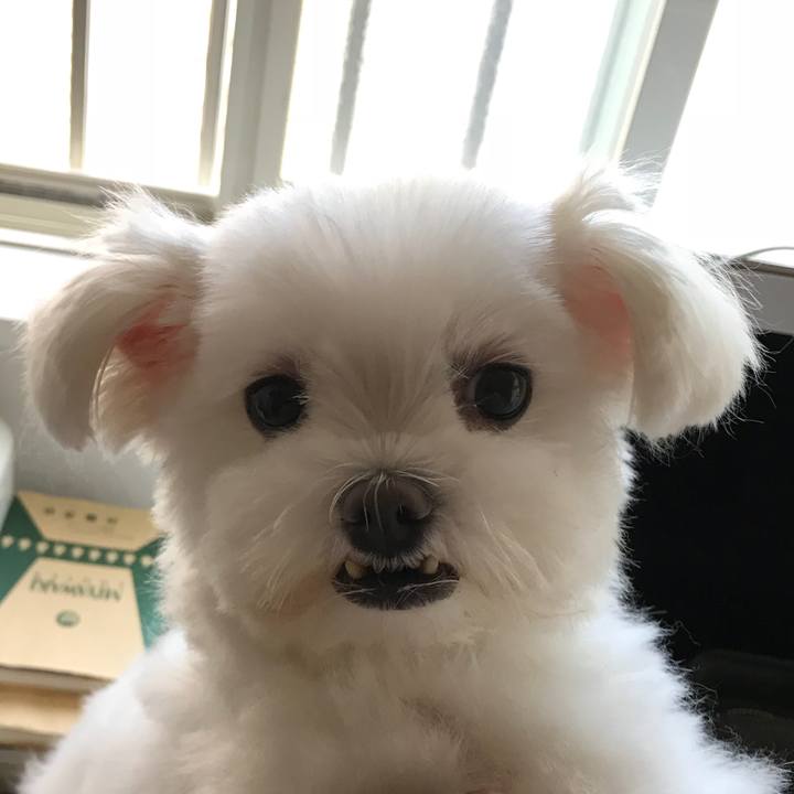 A82469d0 02cb 4503 b4a3 74179114e058 1535582859141