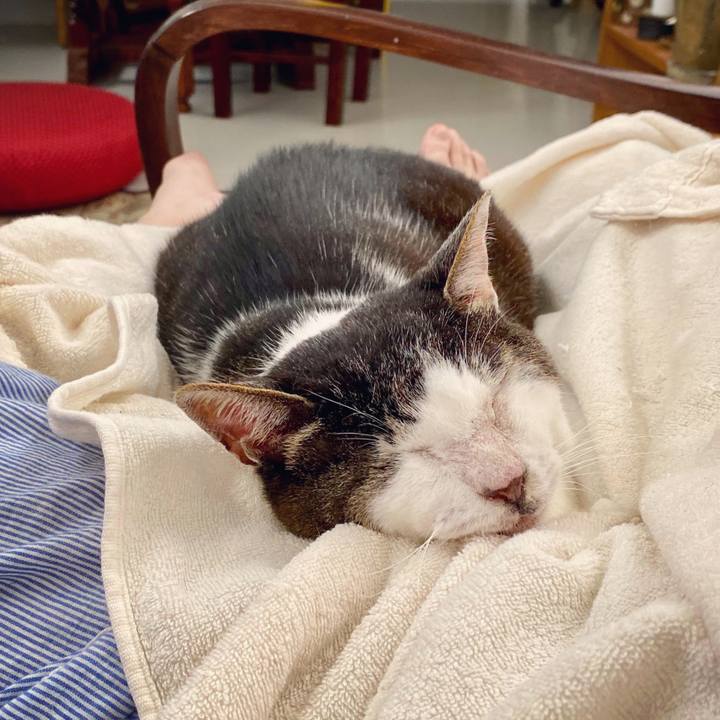 A8248260 114c 496c a268 a4381544a681 1593937536025