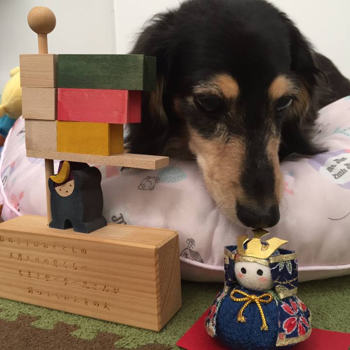 A82483ac 709b 48e4 b034 d8a368fb9026 1588645977487