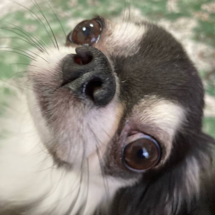 A824a89c b3dc 49f2 ae18 330de99d75b9 1664112938785