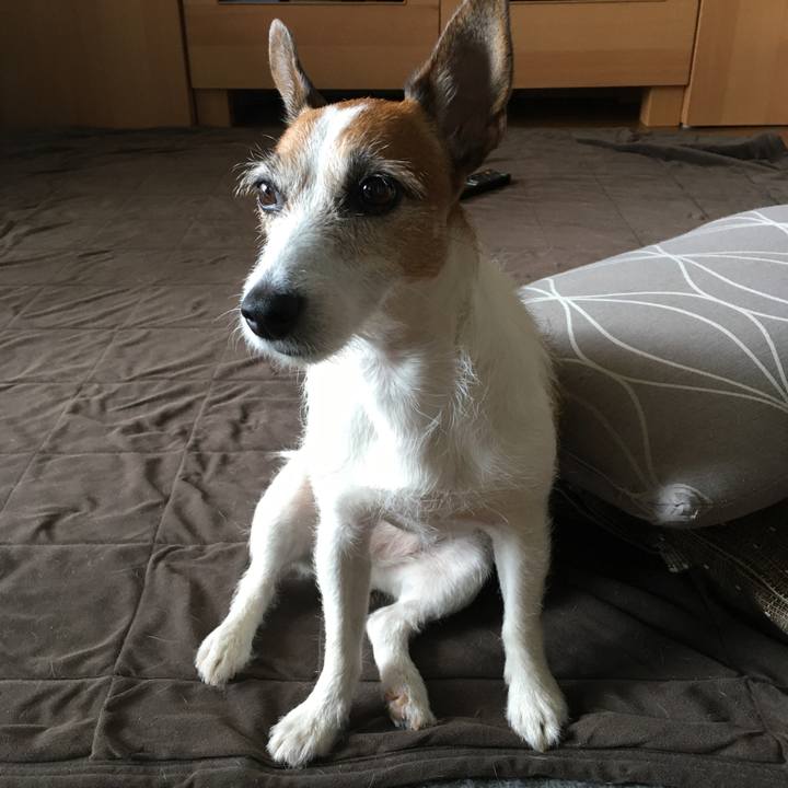 A824c2c6 d6ef 4c2b 998e da44a5f982b3 1599089945807