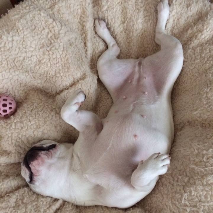 A824db64 fe65 4f4d 932d d05e4047a9ab 1531477912802