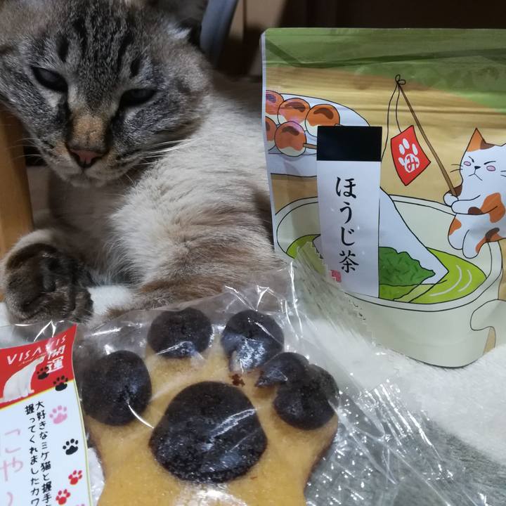 A824f79d c89a 4112 9870 e758161f570f 1543054458859