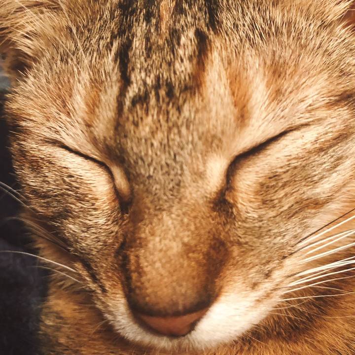 A8250072 e77e 4d0a 90cb e381f1169911 1579948708598