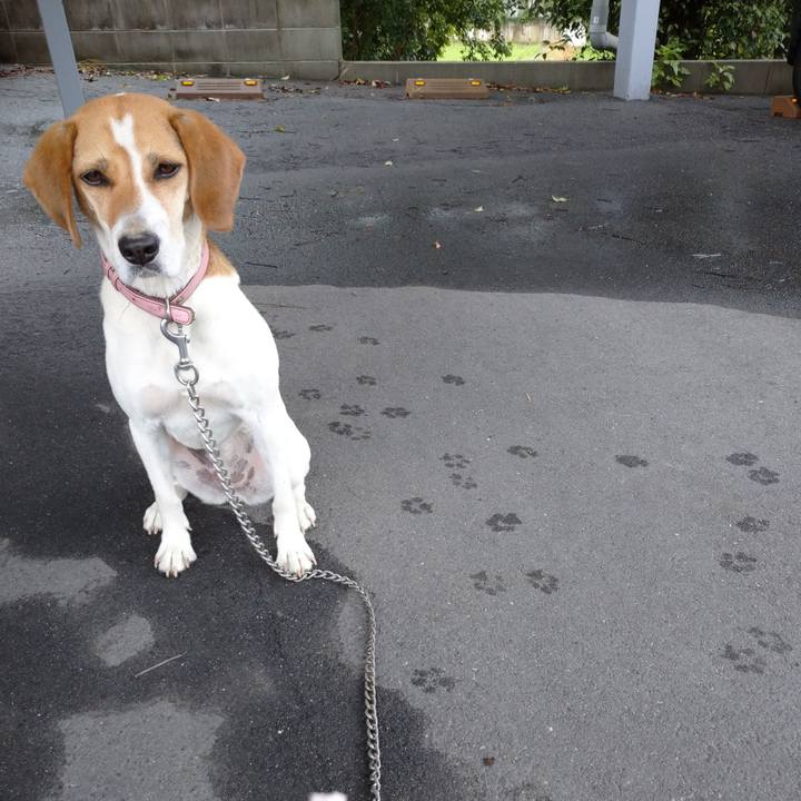 A82502e2 9654 4498 b5fc d77f4ef70497 1594262727303