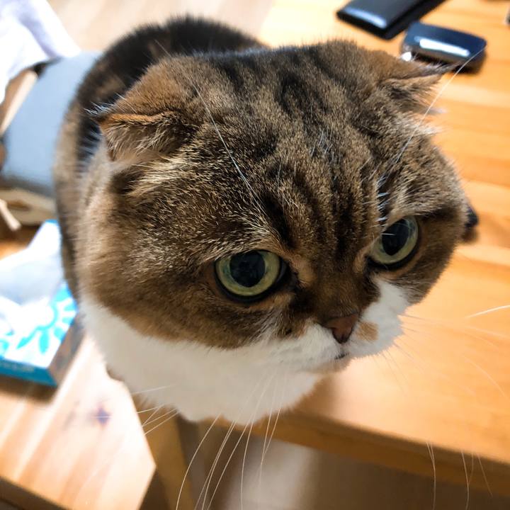 A8254729 b587 40cc bb8f 7dee7b68f663 1546257488043