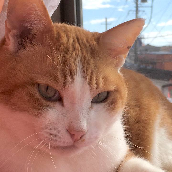 A8255606 3c8f 4412 9482 32ce88a6e103 1580473582238