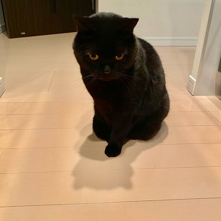 A82562e6 fe79 4ecb bfbb 2eb679a88b06 1646659029193