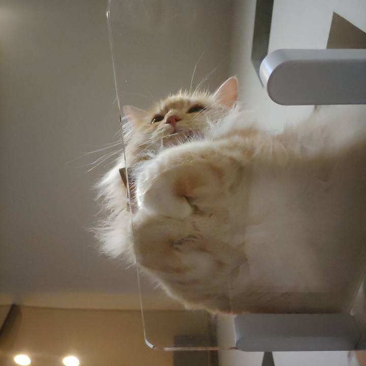 A82583a0 9493 4c82 a437 78a838d7adae 1722944155957