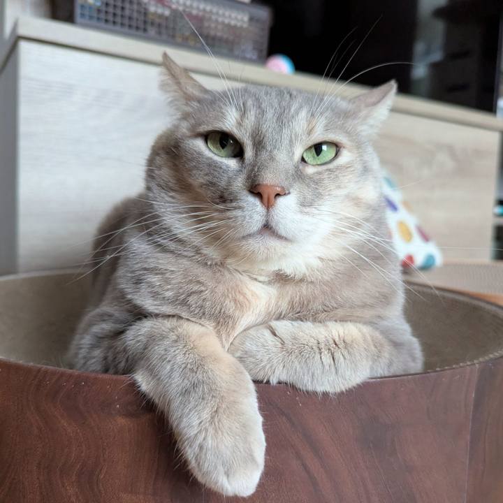 A825ab50 5d16 4102 a9fd c544b40a292a 1768141692712