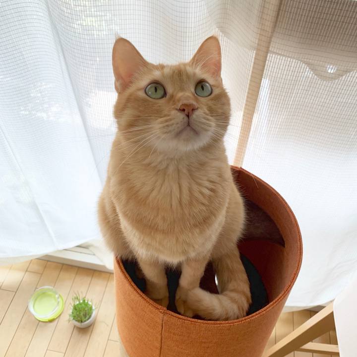 A82626c5 760b 4f8d 8725 fda07c41ec91 1759181859955