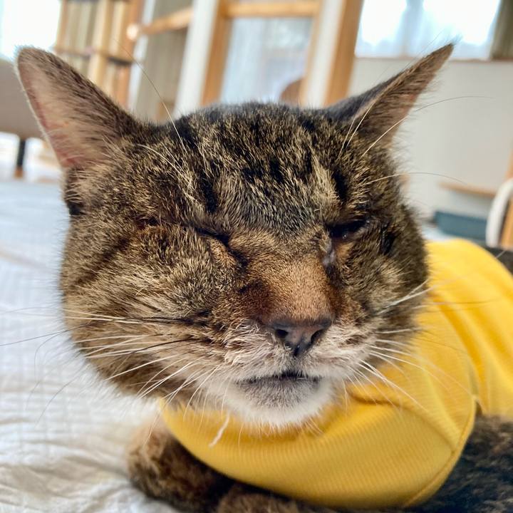 A8267848 dc1b 43e7 b727 0e453da67115 1689230103833