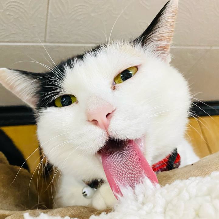 A826852f 4f3f 4ec1 9640 be85d069789d 1676098414500