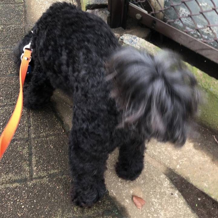 A826d218 1554 4907 931c 7969d524339a 1537052491500