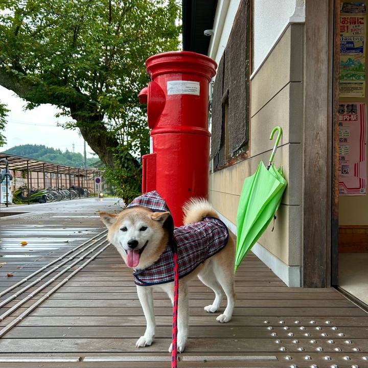 A826e660 d3b0 4873 a7a9 81066c97e72d 1754816858271