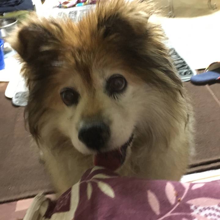 A826e73d ca3b 4c1e af2f 53541ddd59c7 1583492944474