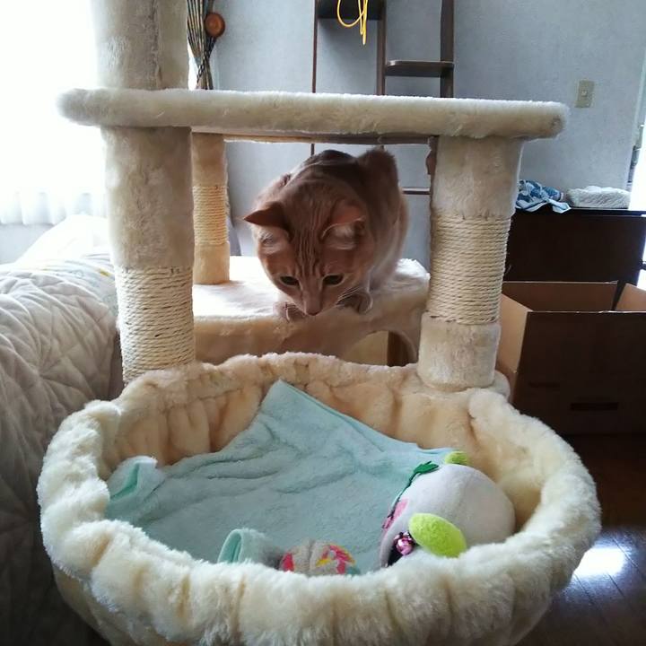 A8270500 901e 41ff 966e eb75e44daf4b 1581425521567