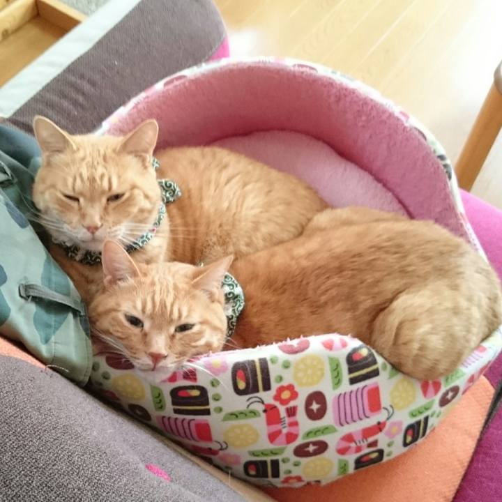 A82745e4 f9d5 4455 8b02 fbf847c628b3 1562658961250