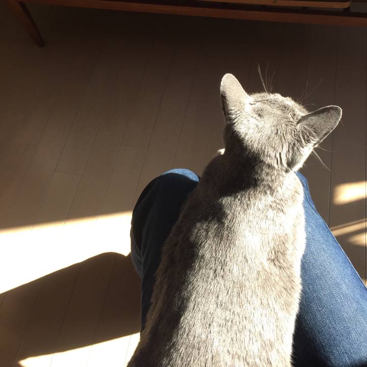 A82769fb 480d 40a9 9a1f e7f24e31188e 1549410397887