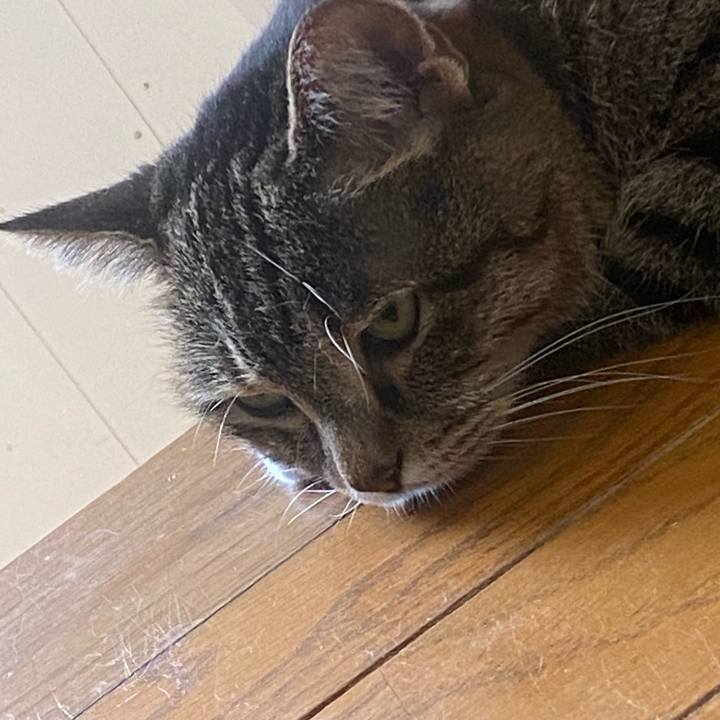 A82783fb af12 4f83 9801 9d32f1ad4f29 1753056522243