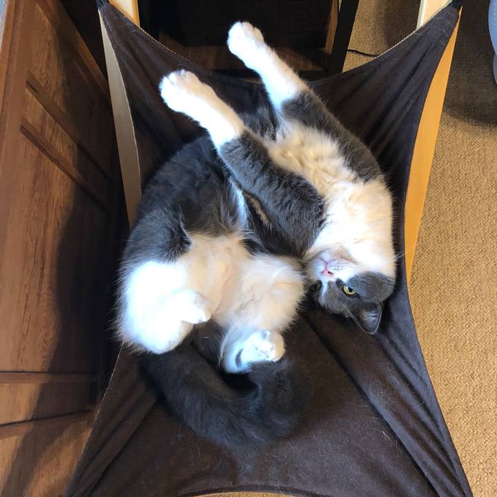 A82794cd a399 41db 91f1 40c94983935d 1602297088973